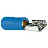 FASTON FEMMINA PREISOLATO P. 6,35