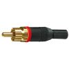 SPINA RCA NERA PROF.ANEL. ROSSO
