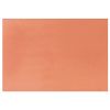 PIASTRA VETRONITE RAM. 200x300mm