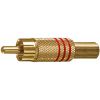 SPINA RCA DORATA ANELLO ROSSO